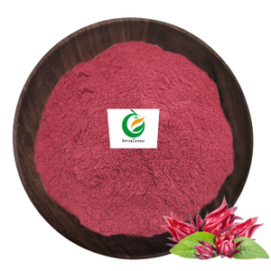 Hibiscus Flower Roselle Extract