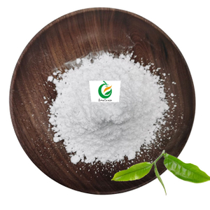 100% Natural Green Tea Extract 99% EC Epicatechin