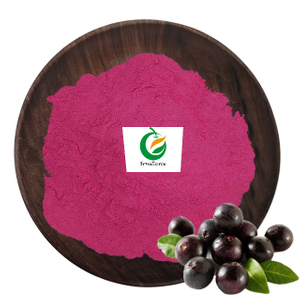 Acai Berry Fruit Extract Powder