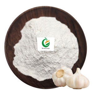 Garlic Extract Powder
