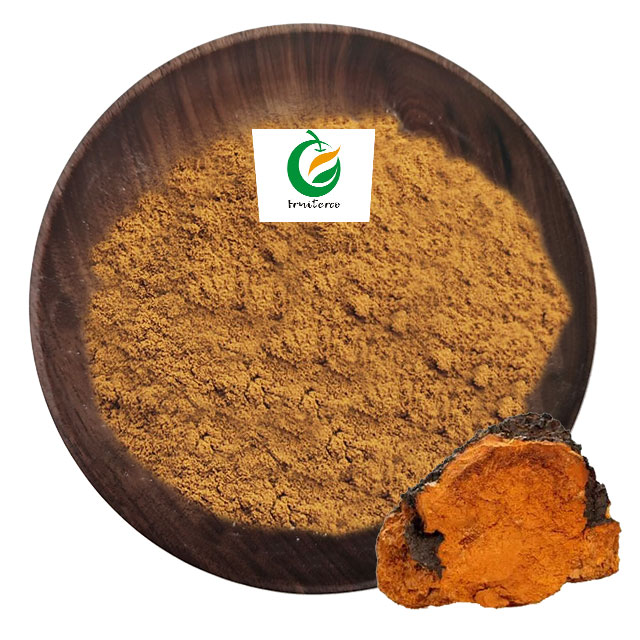 Chaga Polysaccharides 10%-50% Inonotus Obliquus Chaga Mushroom Extract