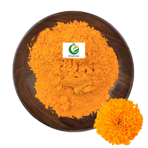 Organic Marigold Flower Extract Lutein